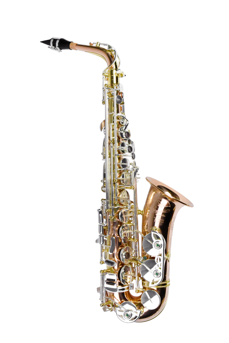 PMSA-600 Venus